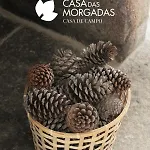 Casa Morgadas 农家乐