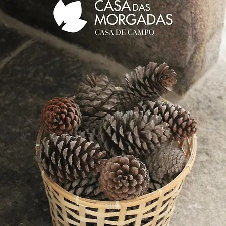 Casa Morgadas בית חווה