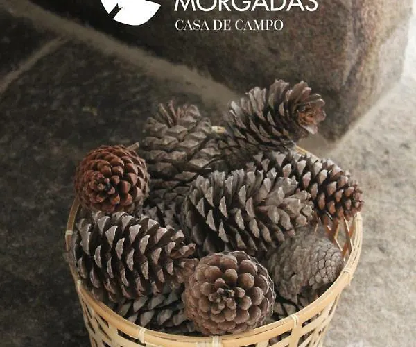 Casa Morgadas Alojamento de Turismo Rural